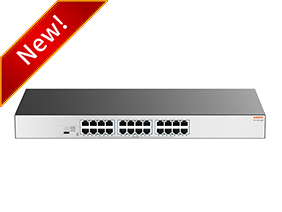 24-port full Gigabit switch